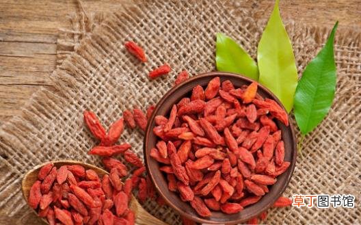 枸杞的健康吃法 睡前嚼几粒枸杞有大益