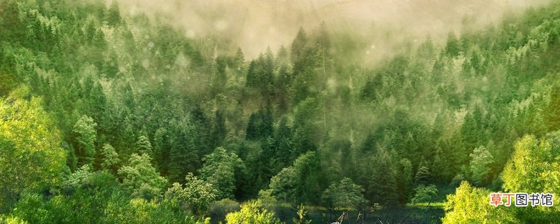 王维的鹿柴的读音 鹿柴注音版