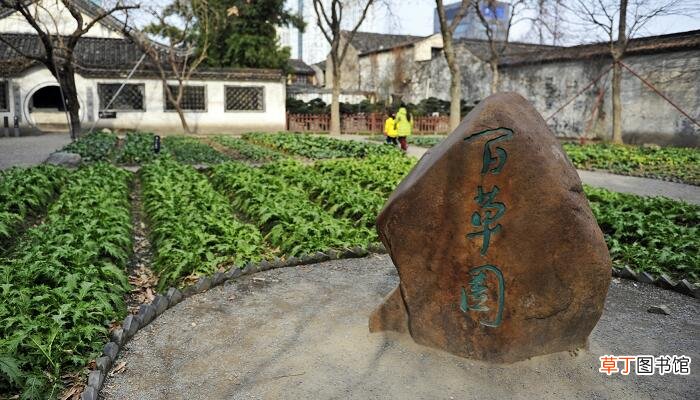 从百草园到三味书屋主要写了哪两部分 从百草园到三味书屋主要内容概括