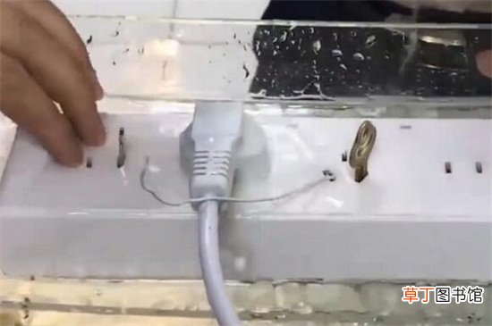 插座进水跳闸了怎么办