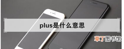 plus是什么意思中文