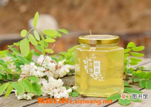 洋槐蜂蜜的作用与功效