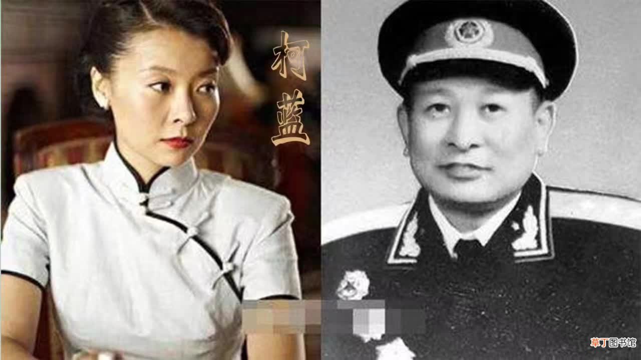 为什么没有人敢动韩雪 韩雪和柯蓝谁更牛为什么韩雪没人敢惹