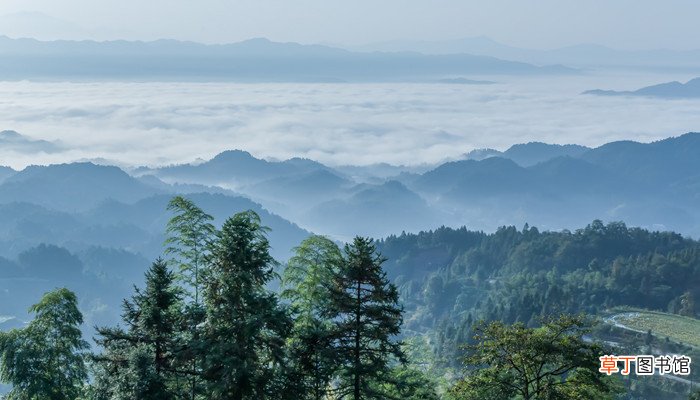生活不止有诗和远方,也有眼前的美好的意思 生活中不止有诗和远方