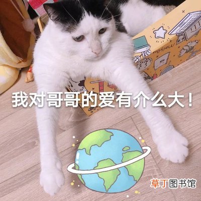 温柔干净的仙句追星 追星文案短句干净治愈