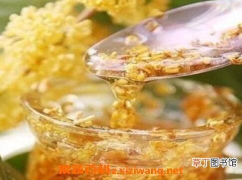 桂花蜜的功效与作用 喝桂花蜜的好处