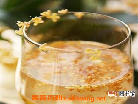 桂花蜜的功效与作用 喝桂花蜜的好处