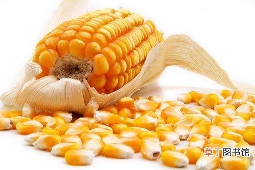 血糖高吃什么？玉米这样吃有效降血糖