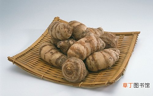 关于芋头的实用贴 芋头怎么去皮手不痒
