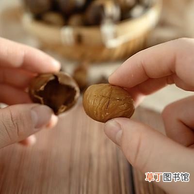 适合在家吃的糖炒栗子做法 炒板栗的方法与步骤