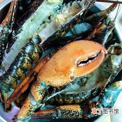 蒜蓉粉丝蒸波士顿龙虾的制作方法 波士顿龙虾最简单的做法