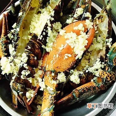 蒜蓉粉丝蒸波士顿龙虾的制作方法 波士顿龙虾最简单的做法