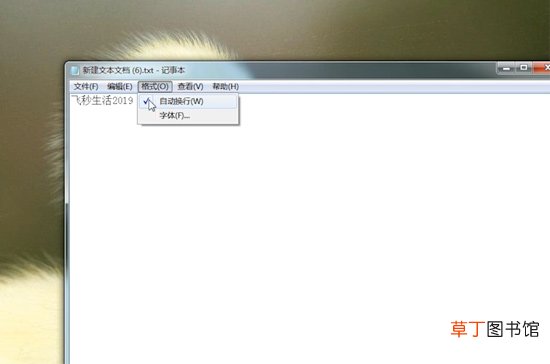 文本文档怎样看字数