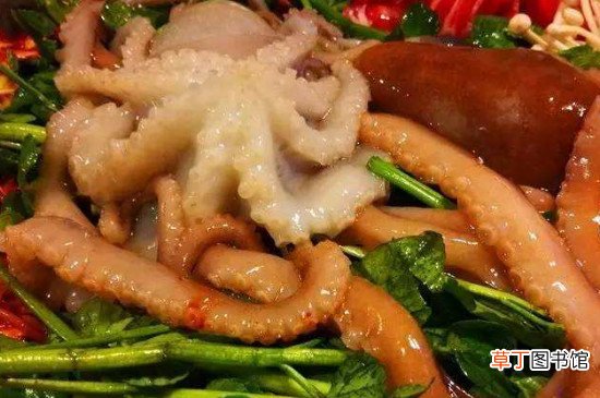 吃章鱼禁忌