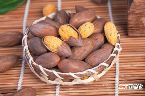 吃香榧的坏处