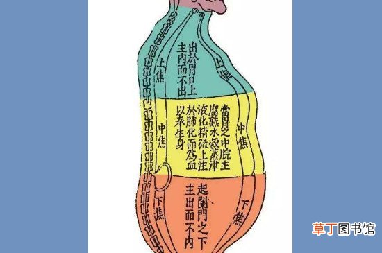 下焦是哪个位置