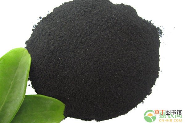嘧菌酯可防治什么病？有何特性？