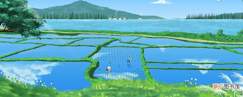四时田园杂兴意思翻译其三十一 四时田园杂兴其三十一翻译