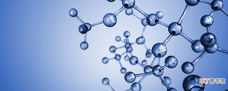 氢离子和氢氧根离子能共存吗