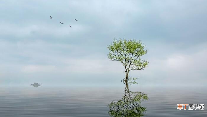 春晴泛舟赏析 陆游春晴泛舟赏析