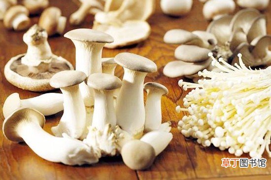 茄子与菌类能同吃吗