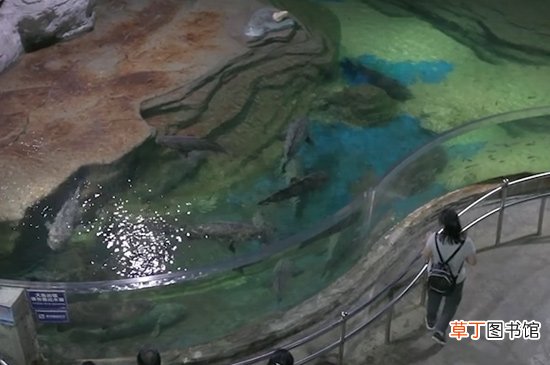 北海在哪里属于那个省