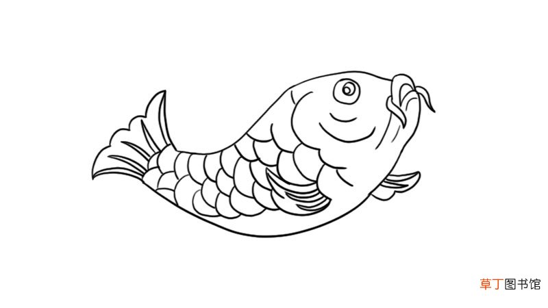 新春锦鲤鲤鱼简笔画