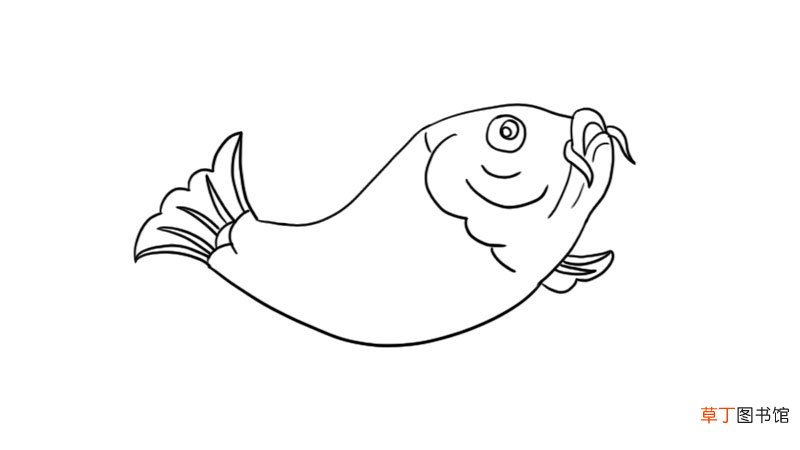 新春锦鲤鲤鱼简笔画