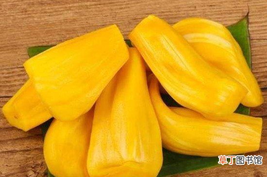 菠萝蜜脂肪含量高吗