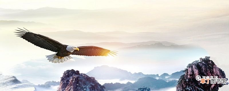 天高任鸟飞整首诗句 天高任鸟飞的全诗