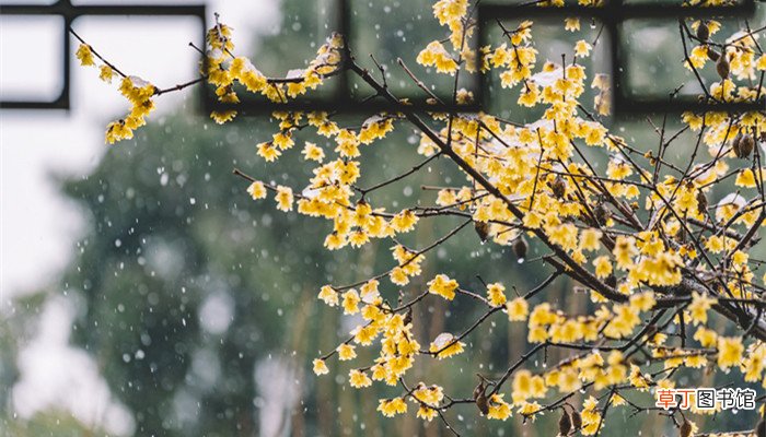 风传花信雨濯春尘是什么意思 雨濯春尘是什么意思