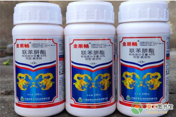联苯肼酯和乙螨唑哪个效果好？