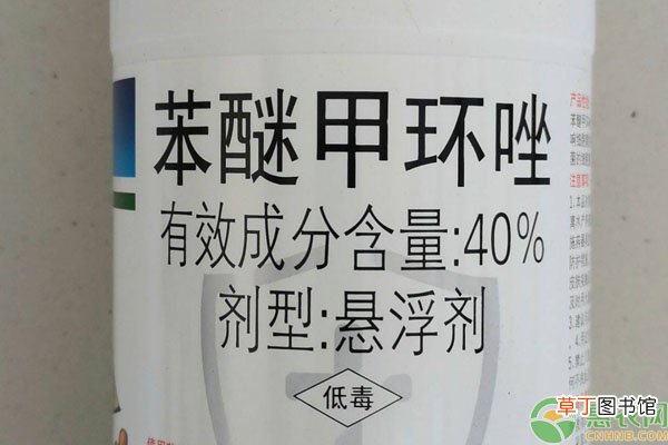 苯醚甲环唑防治小麦什么病？
