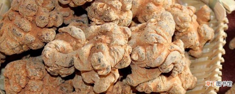 三七20头30头区别