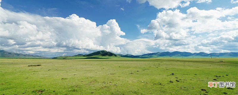 牧场之国作者写作背景 牧场之国主要内容