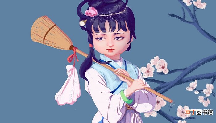 红楼梦第四十八回概括 红楼梦第四十八章概括