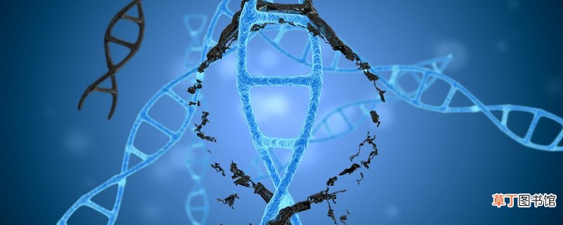 为什么自然选择决定生物进化的方向 自然选择决定生物进化的方向吗