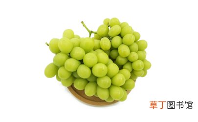阳光玫瑰葡萄是转基因产品吗
