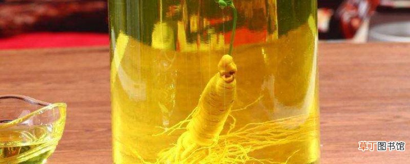为啥二锅头不能泡药酒