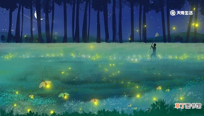 西江月夜行黄沙道中的诗意和注释 西江月夜行黄沙道中的意思