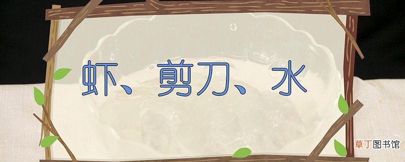 虾线怎么挑