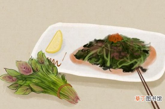 秋菜是什么
