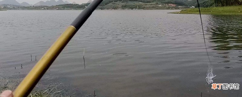 深秋怎么钓草鱼