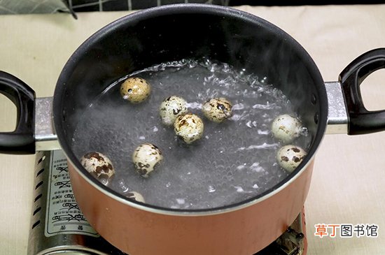 鹌鹑蛋煮多久