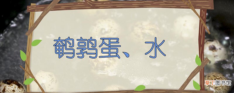 鹌鹑蛋煮多久