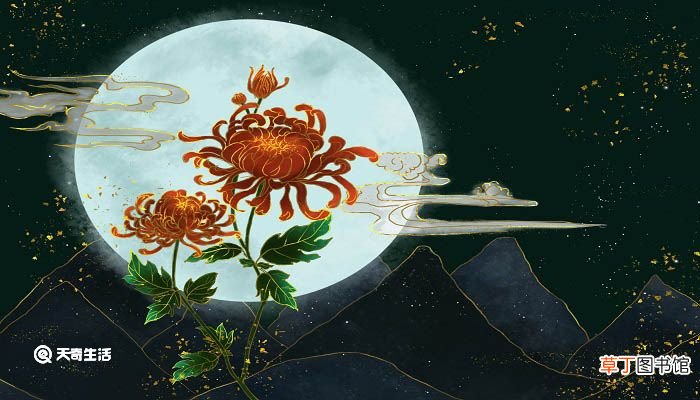 宁可枝头抱香死,不曾吹落北风中的意思是什么 宁可枝头抱香死形容的是什么