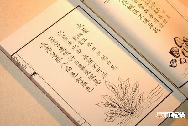 救荒本草是哪个朝代的 救荒本草出自于哪个年代