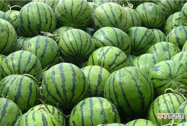来沈阳必吃的十种美食 沈阳美食排行榜前十名