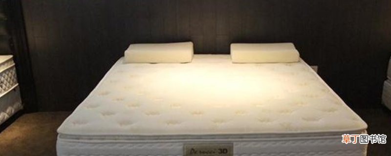 床垫受潮长虫怎么办