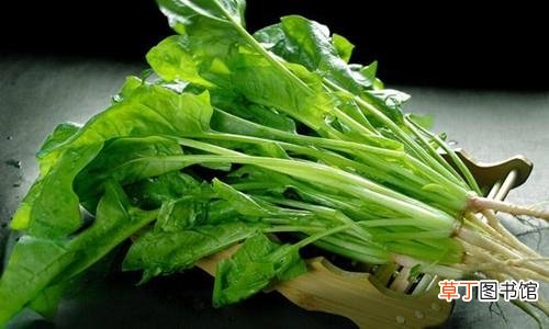 常吃菠菜好处多 需注意5个禁忌